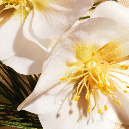 Eden-Roc Dior 125 ml